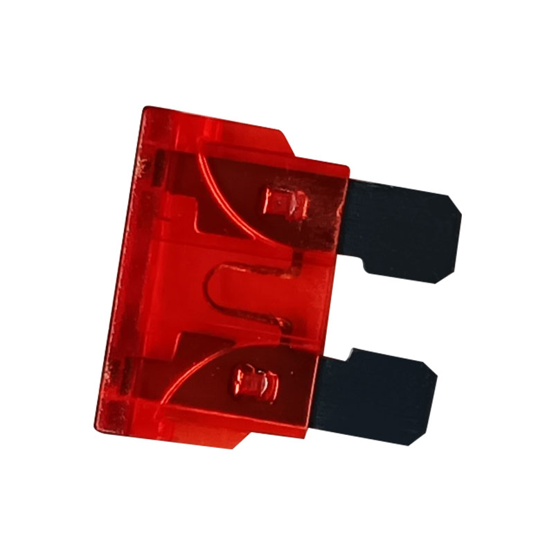 10A Fuse 
